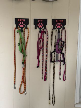 Soporte para correas de perro