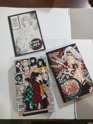 Demon Slayer vol. 22 - limited edition (ITA)