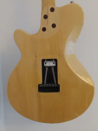 Guitarra Godin SD 22 Natural Flame