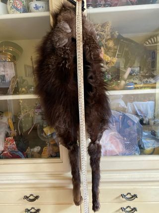 Cuello de pelo marrón