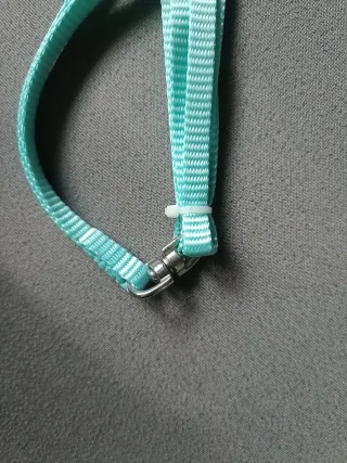 Correa para perro pequeño