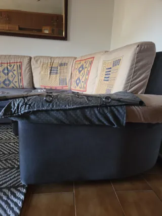 2 Cañas Sonik DominatorX 10' 3lb