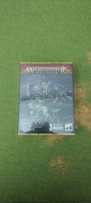 Warhammer Age of Sigmar: Snarlboss y Retinue