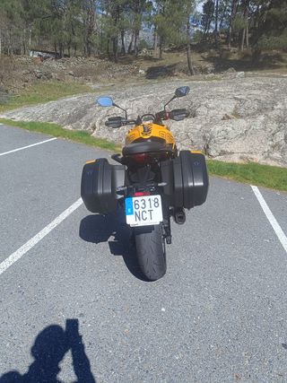 Triumph Tiger Sport 800 Amarilla