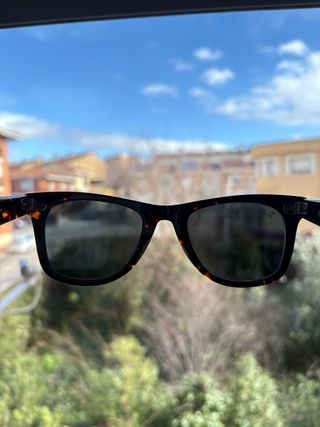 Gafas de sol Ray-Ban Wayfarer Tortoise/Grey size50