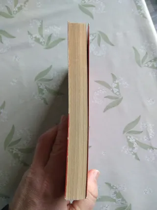 Gaspar de Portolà. O rei o res