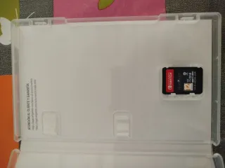 Hogwarts Legacy Nintendo Switch