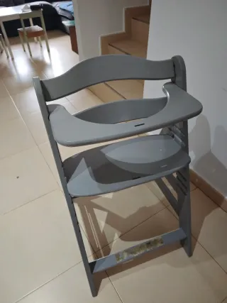 Trona evolutiva gris