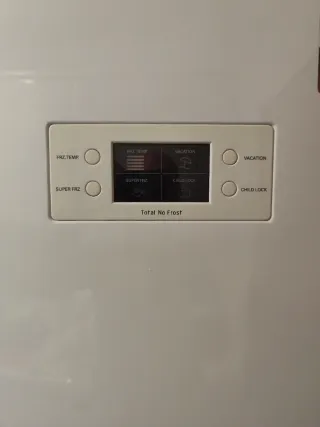 Nevera combi LG Total No Frost A+