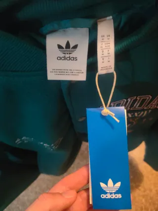 Chaqueta Bomber Adidas Varsity MMXXIV Teal