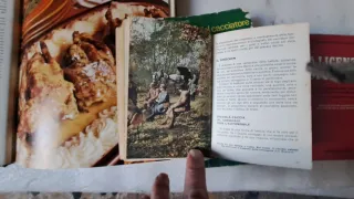 5 Libri Caccia Antichi