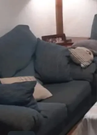 Sofá 2 plazas seminuevo