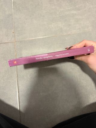 Novelas Ejemplares de Miguel de Cervantes.