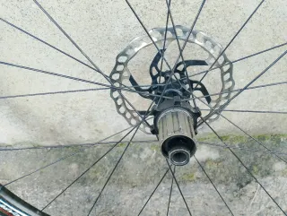 Rueda Trasera Carbono Sscar AF-38