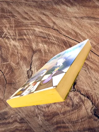 Harry Potter E la Pietra Filosafale PRIMA EDIZIONE