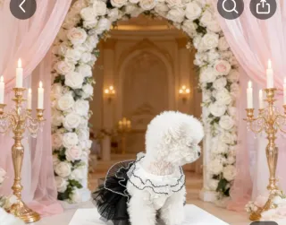 Vestito per cagnolino bianco e nero