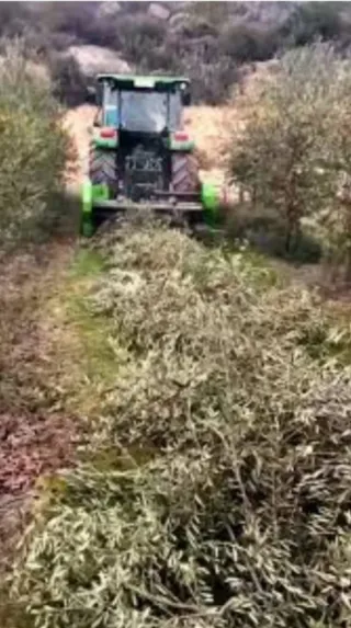 Se hacen trabajos agricolas