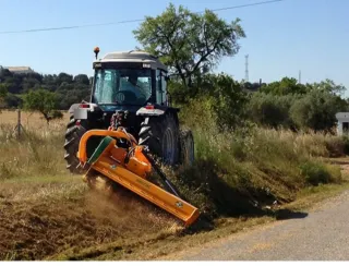 Se hacen trabajos agricolas