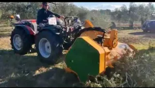 Se hacen trabajos agricolas