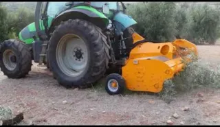 Se hacen trabajos agricolas