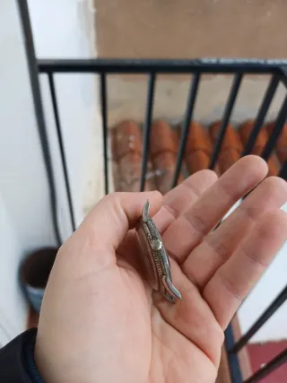 JUMBO CUERDA VINTAGE