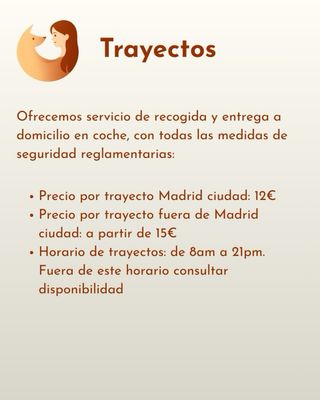 Residencia canina sin jaulas