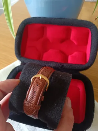 Reloj Giovani Beverly Hills Cuarzo Dorado