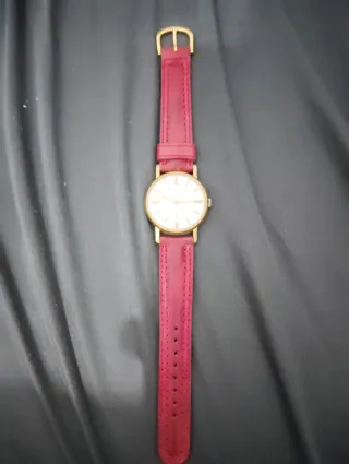 Reloj Doxa Antimanético Dorado