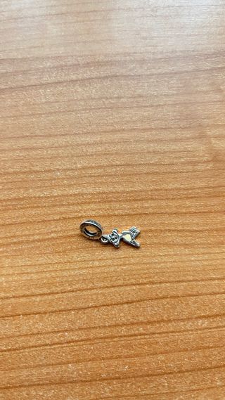 Charm Pandora Timón