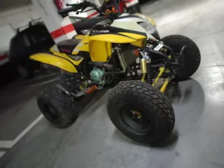 Quad Wildlander 200cc