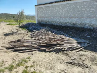 Tutores para plantones de olivar (1.50m-1.70m)