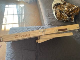 Rampa per cani iPetba grigia