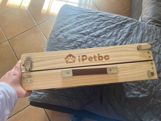 Rampa per cani iPetba grigia