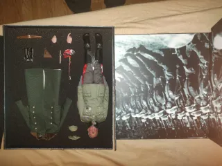 Figura 3R DID 1/6 Erich von Manstein