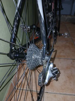 Bicicleta Goka carbono ediccion especial