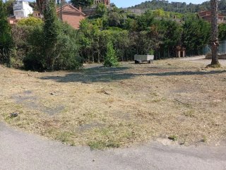 Jardinero. Limpieza de terrenos y jardines.