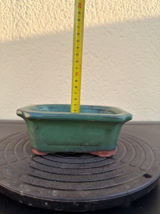 Maceta bonsai cerámica verde