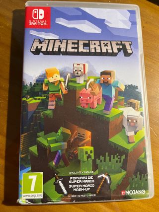 Minecraft Nintendo Switch
