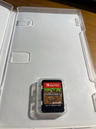 Minecraft Nintendo Switch
