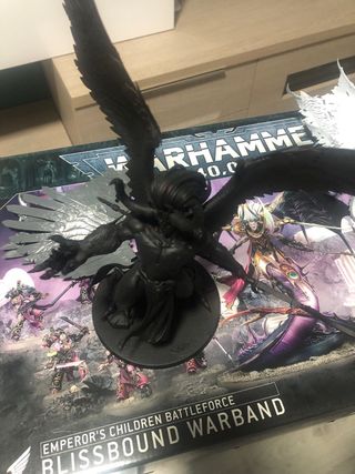 Pack de pintura para paco