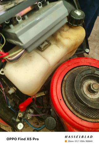 Cortacésped Tecumseh Enduro 13.0