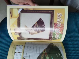 Revista punto de cruz monográfico cuadros