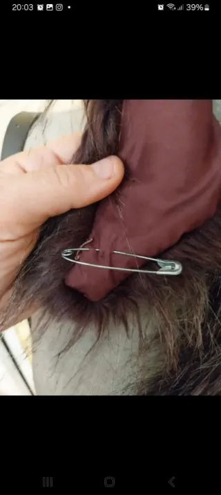 Cuello de pelo marrón multicolor