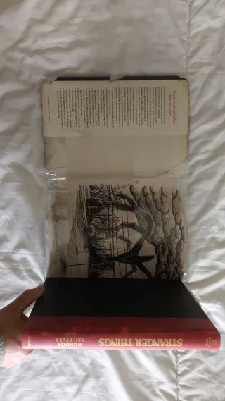 Stranger Things. Mundos al revés / Stranger Thi...