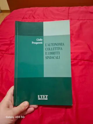 L'autonomia collettiva e i diritti sindacali