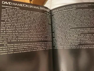 Libro El amor joven hamilton