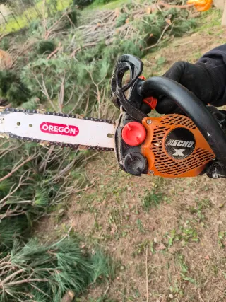 Jardinero a domicilio en el Maresme