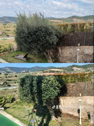 Jardinero a domicilio en el Maresme