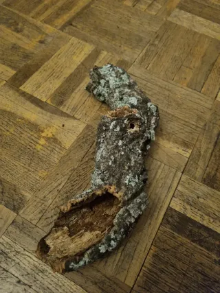 Corcho natural para terrario/hábitat