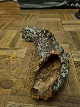 Corcho natural para terrario/hábitat